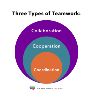 Three Types of Teamwork